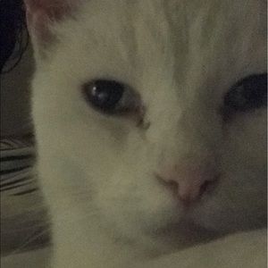 Meet your Posher, Leigh